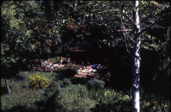 s2_009_BurnngSettlersCabinFrontierland