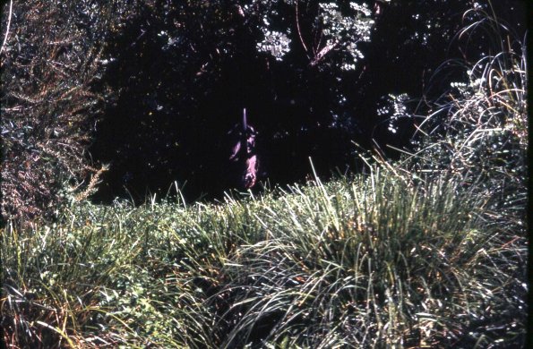 s2_014_RhinoAdventureland