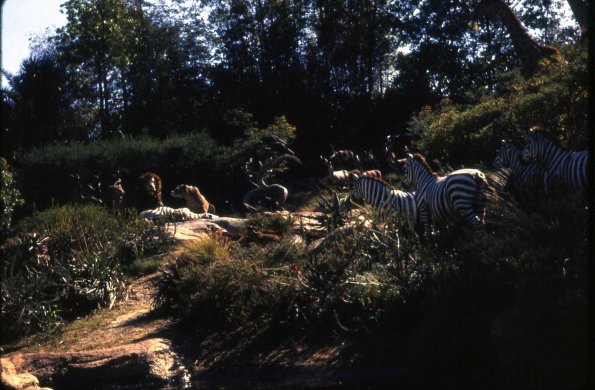 s2_016_AnimalsAdventureland