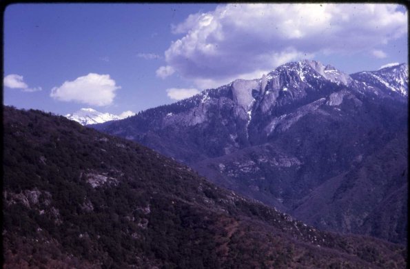 s2_033_SequoiaNatPark