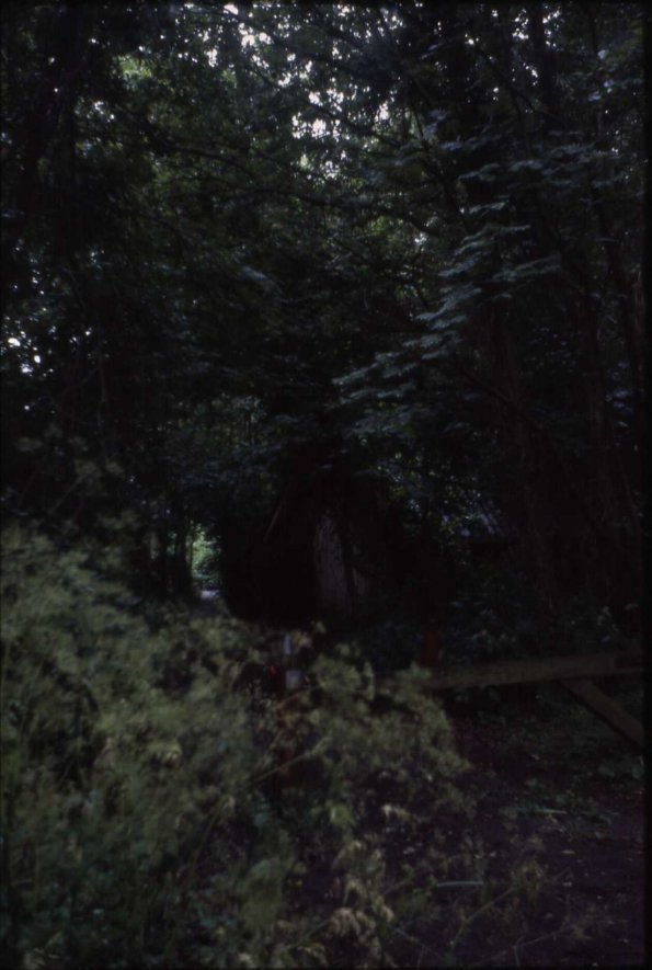 HollandWW_Slides_024