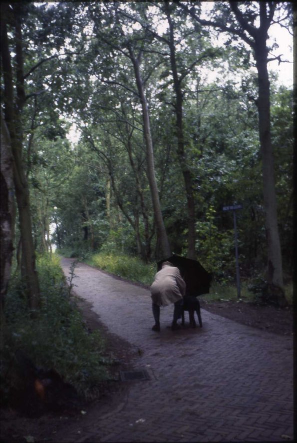 HollandWW_Slides_026