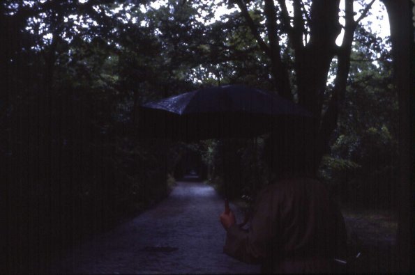 HollandWW_Slides_035