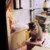 VeniceWW_Slides_122