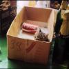 VeniceWW_Slides_125